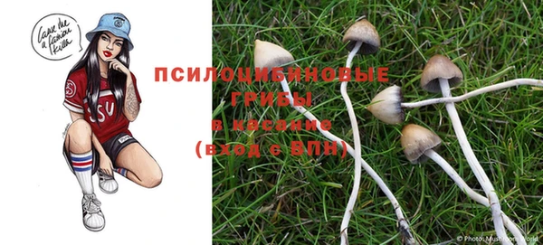 кокаин перу Абаза
